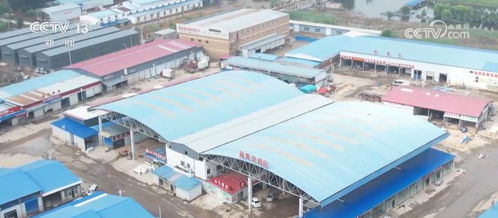 河北涿州最大農產品批發市場恢復營業，災后生產生活逐步回暖