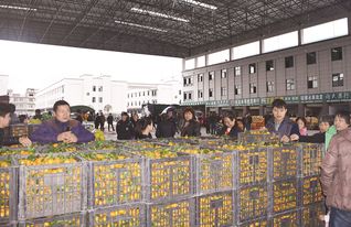 上饒農產品交易城 打造集交易、展覽、展示于一體的綜合性國際農副產品與鞋帽批發新樞紐