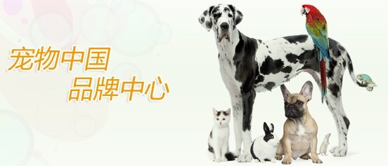 衛仕寵物食品 網絡銷售策略與消費者選擇分析